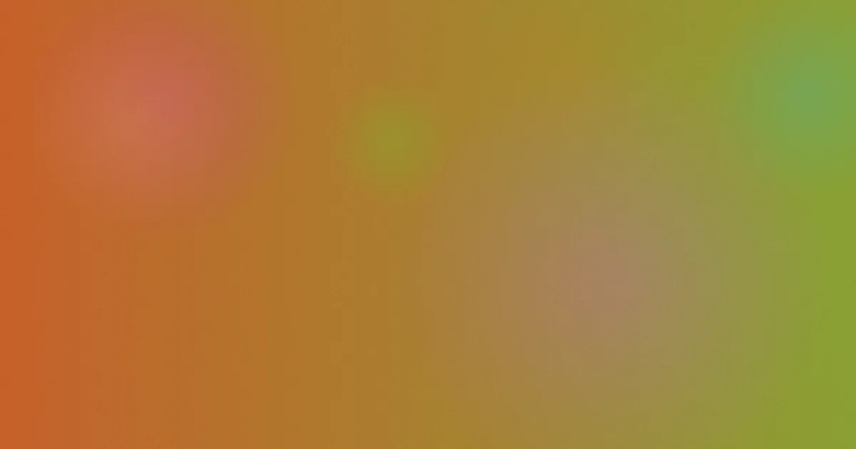 中山国际人才网怎么用